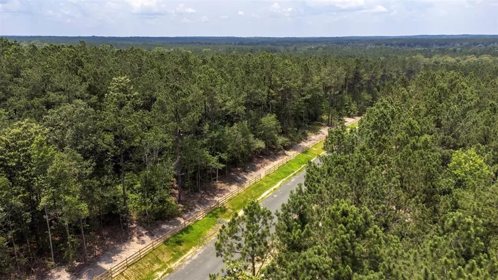 10 Timberland Branch Drive Woodville, TX 75979