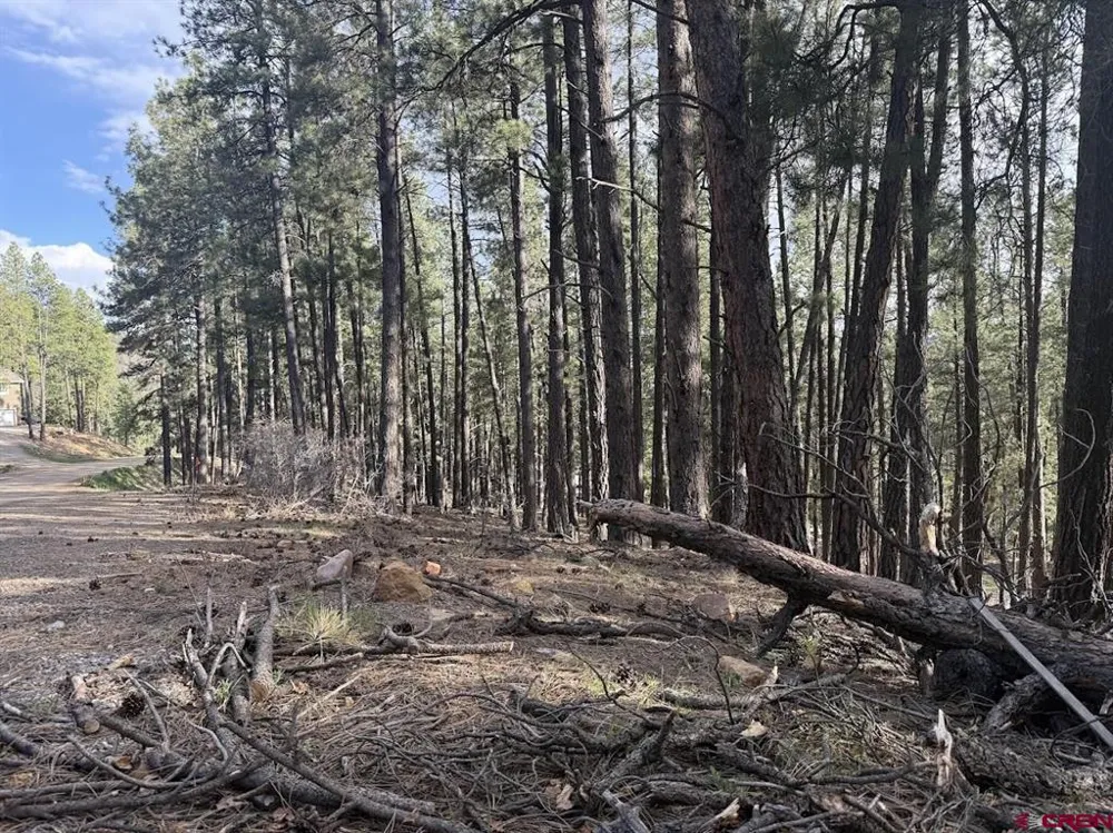 217 Pine Top Drive Bayfield, CO 81137