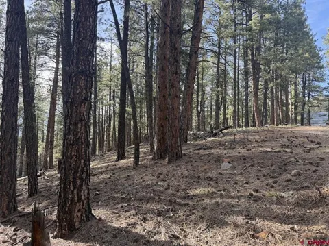 217 Pine Top Drive