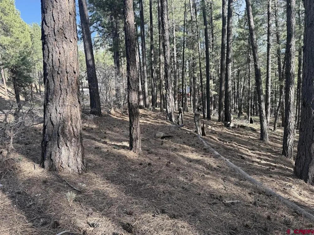 217 Pine Top Drive Bayfield, CO 81137