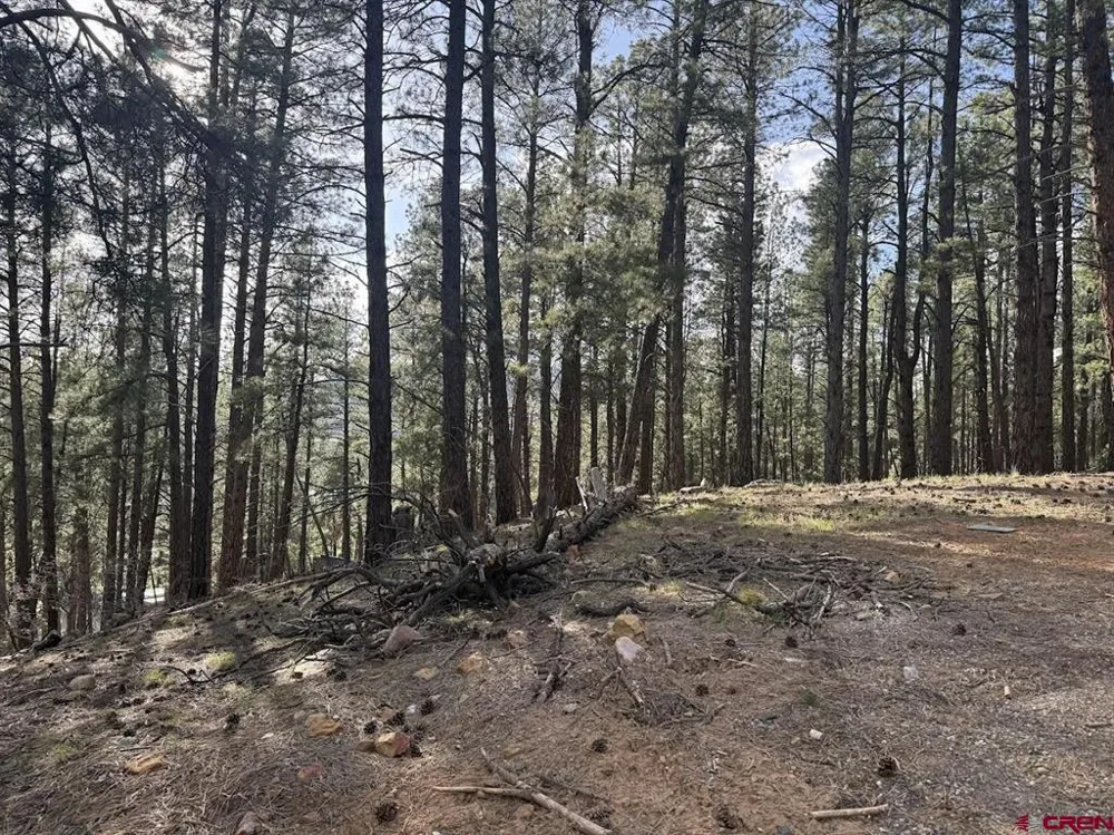 217 Pine Top Drive Bayfield, CO 81137