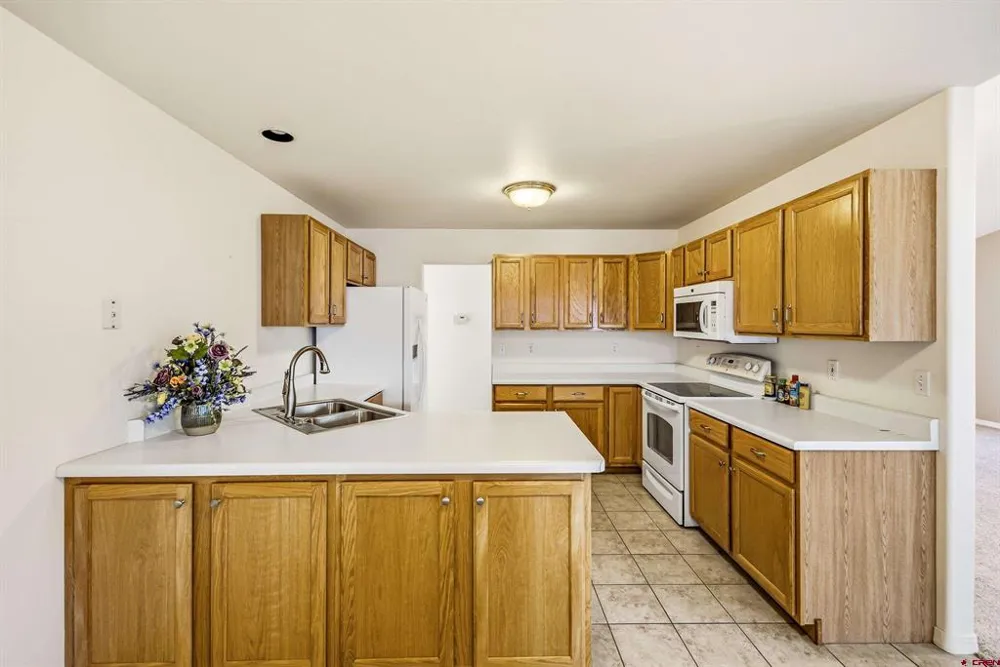 478 SE Birdie Circle Cedaredge, CO 81413