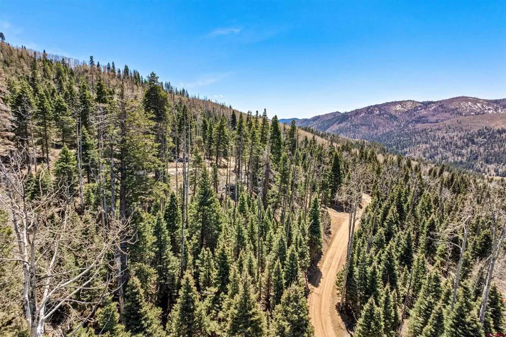 210 Grizzly Lane Durango, CO 81301