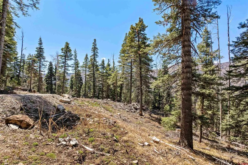 210 Grizzly Lane Durango, CO 81301