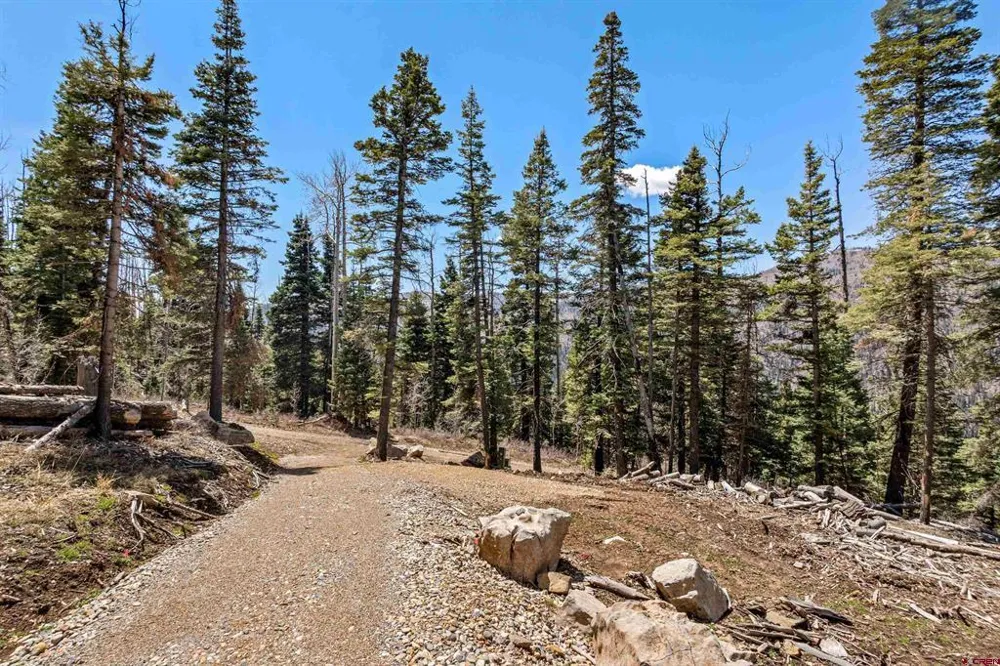 210 Grizzly Lane Durango, CO 81301
