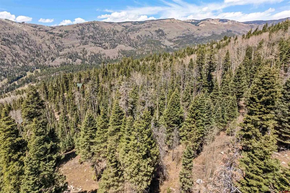 210 Grizzly Lane Durango, CO 81301