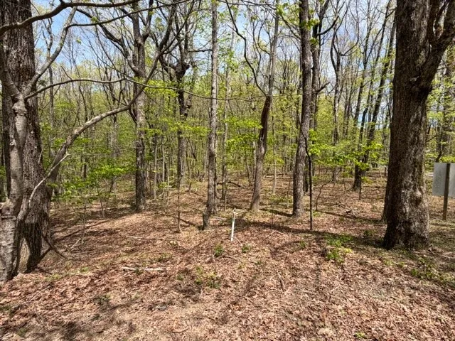 Lot 26 Falcons Nest Jasper, GA 30143
