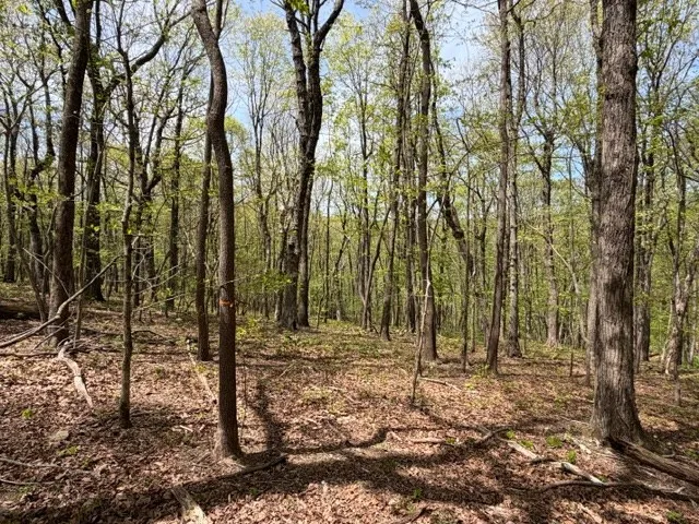 Lot 26 Falcons Nest Jasper, GA 30143