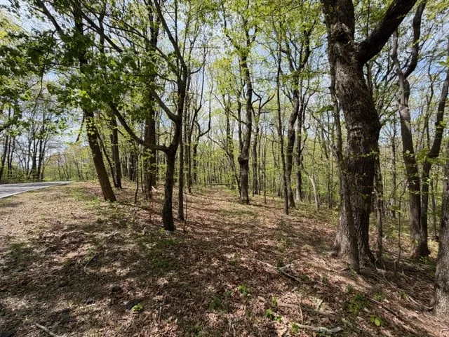 Lot 26 Falcons Nest Jasper, GA 30143