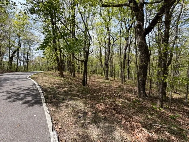 Lot 26 Falcons Nest Jasper, GA 30143