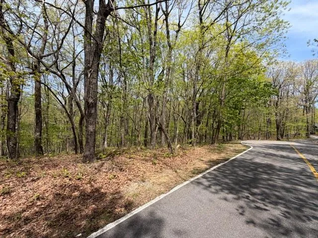 Lot 26 Falcons Nest Jasper, GA 30143