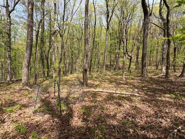 Lot 26 Falcons Nest Jasper, GA 30143
