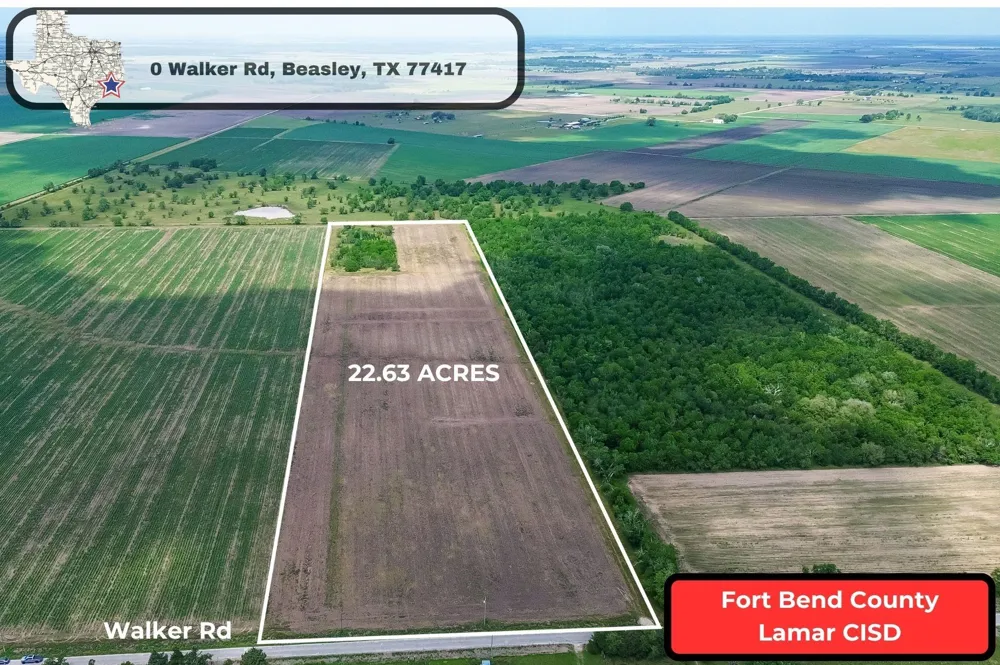 Walker Road Beasley, TX 77417