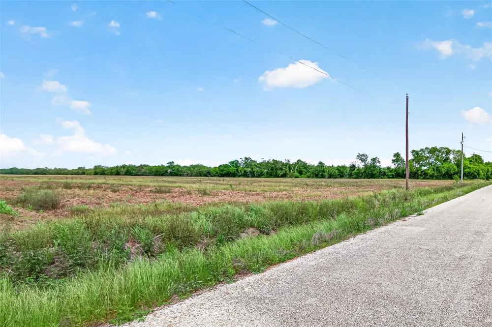 Walker Road Beasley, TX 77417