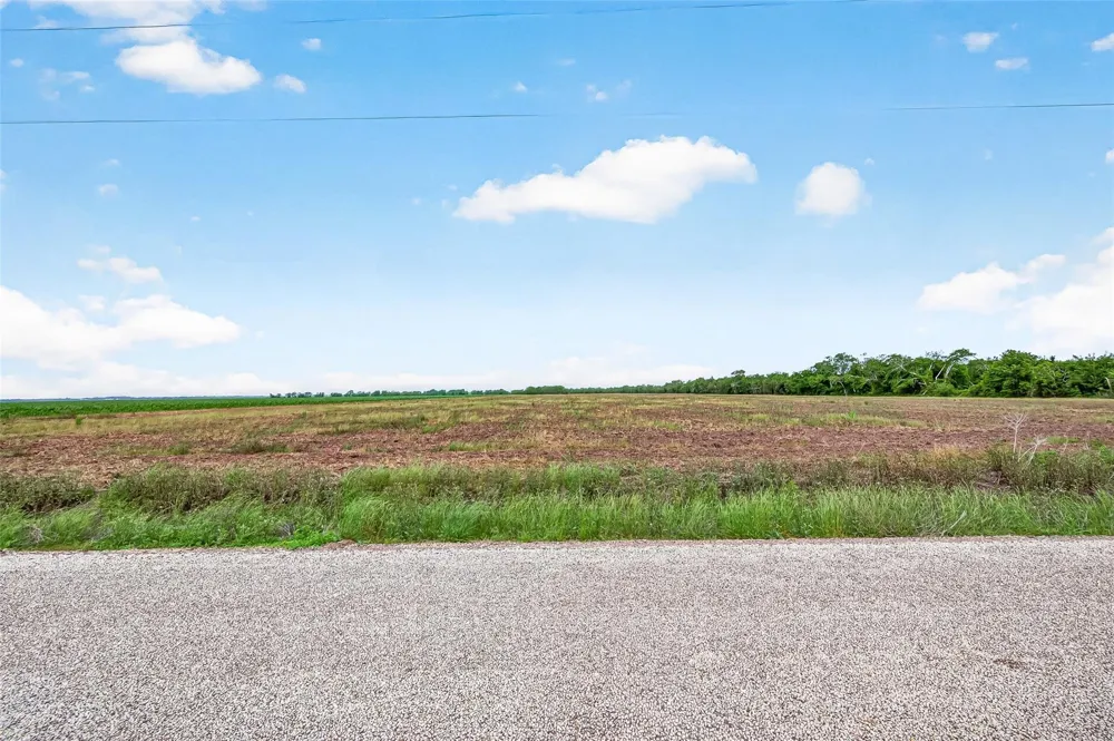 Walker Road Beasley, TX 77417