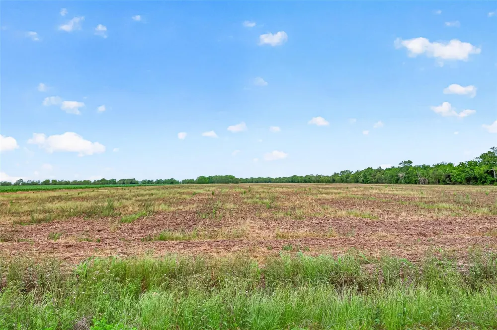 Walker Road Beasley, TX 77417