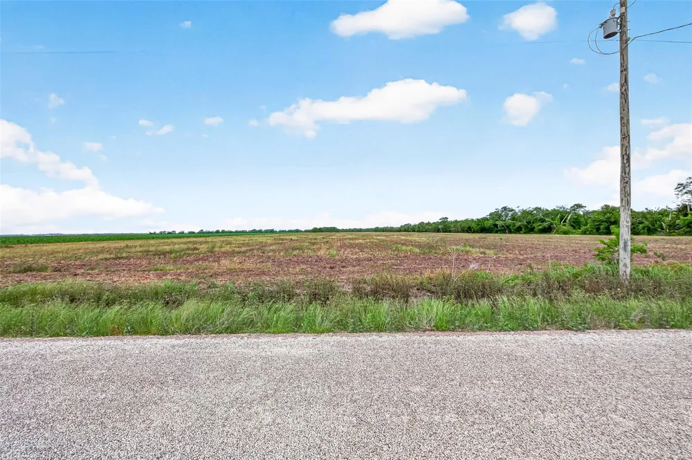 Walker Road Beasley, TX 77417