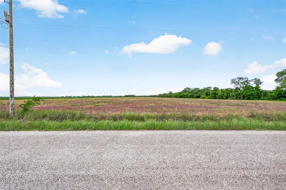 Walker Road Beasley, TX 77417
