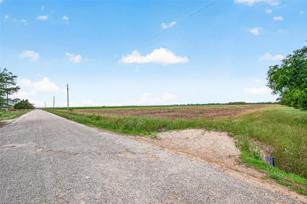 Walker Road Beasley, TX 77417