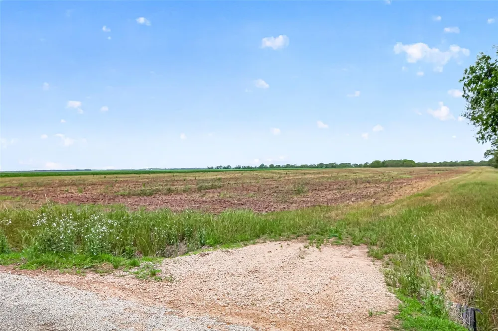 Walker Road Beasley, TX 77417