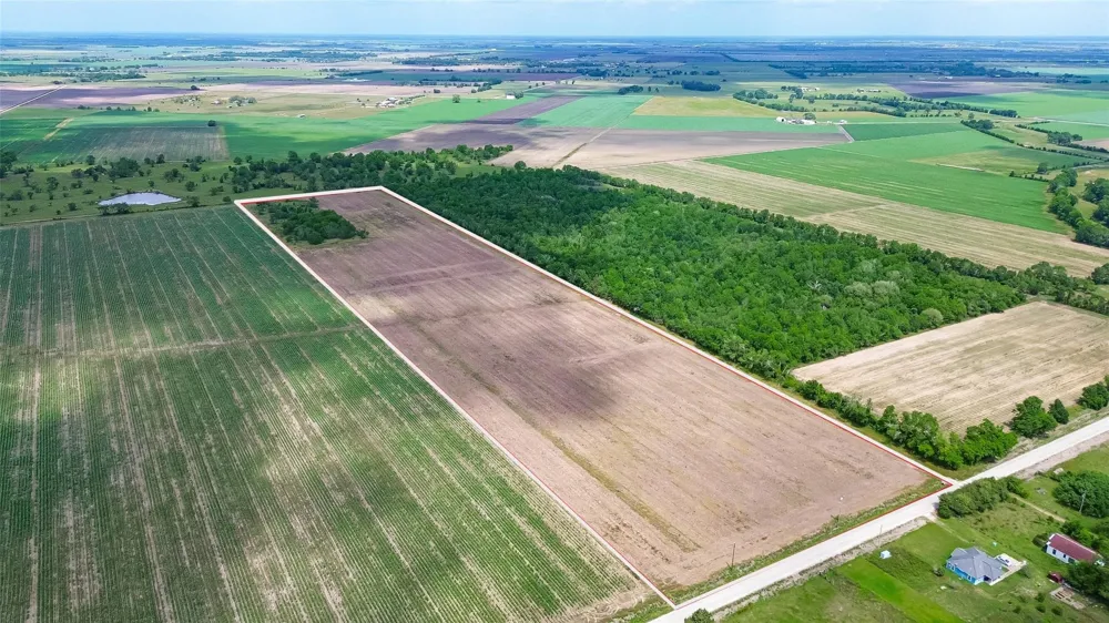 Walker Road Beasley, TX 77417