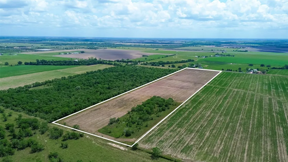 Walker Road Beasley, TX 77417