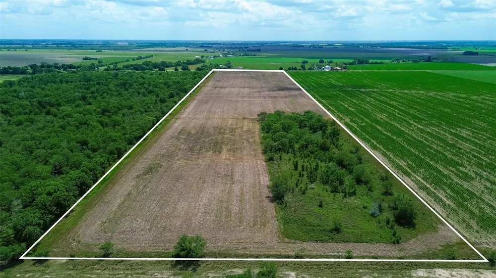 Walker Road Beasley, TX 77417