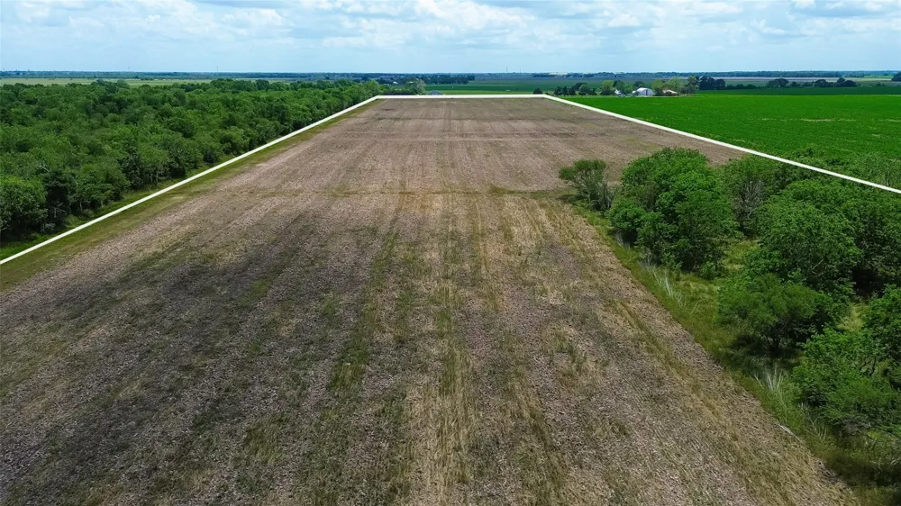 Walker Road Beasley, TX 77417