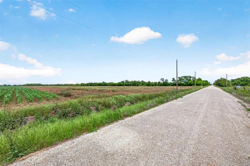Walker Road Beasley, TX 77417