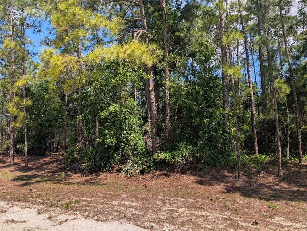 1114 PLUMOSA DRIVE Indian Lake Estates, FL 33855