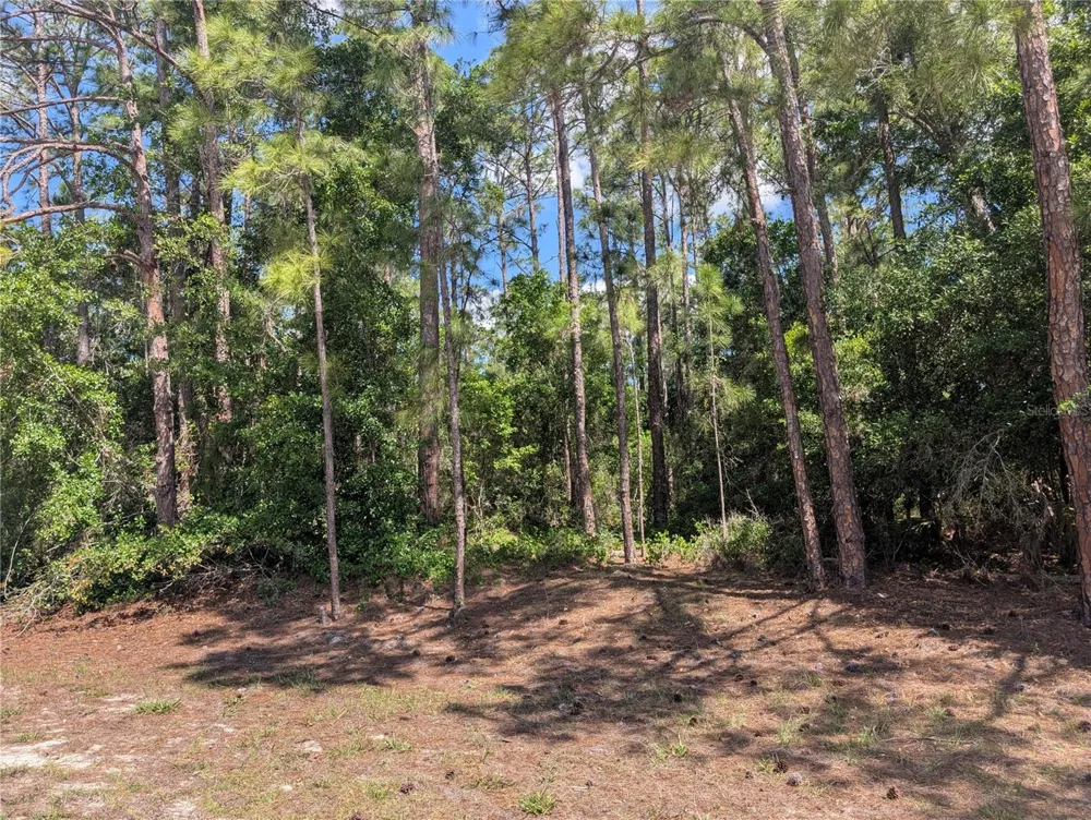 1114 PLUMOSA DRIVE Indian Lake Estates, FL 33855