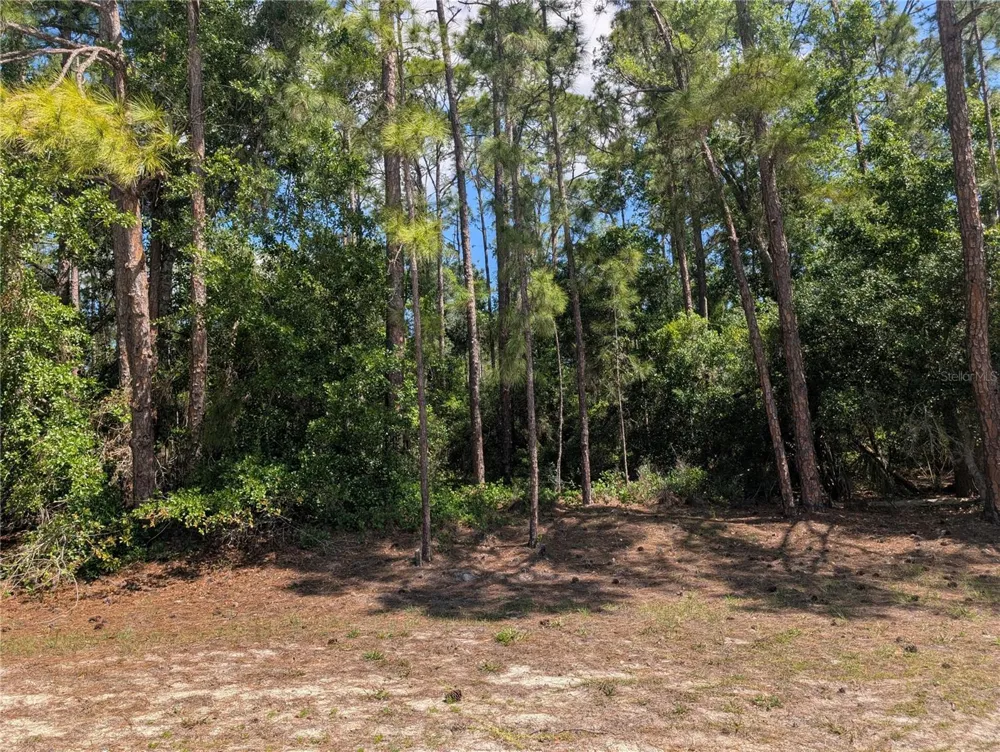 1114 PLUMOSA DRIVE Indian Lake Estates, FL 33855