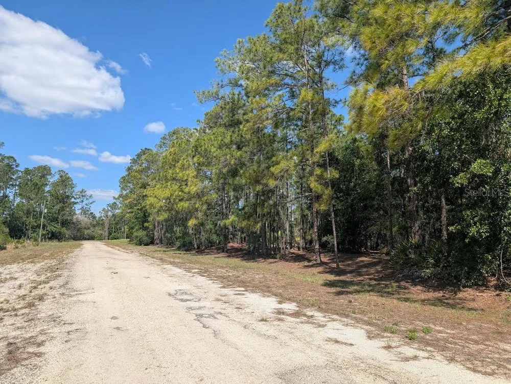 1114 PLUMOSA DRIVE Indian Lake Estates, FL 33855