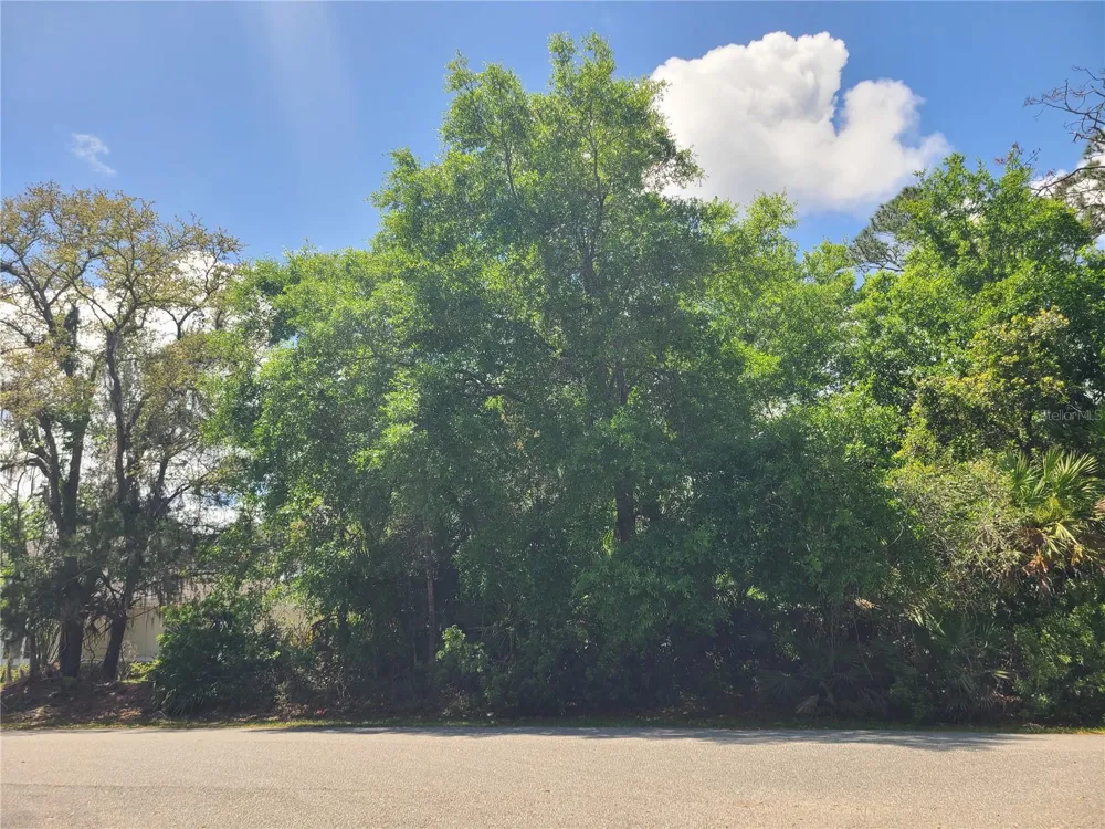 17 FARVER LANE Palm Coast, FL 32137