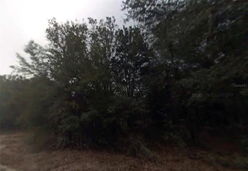 614 LONGWOOD AVENUE Inverness, FL 34453