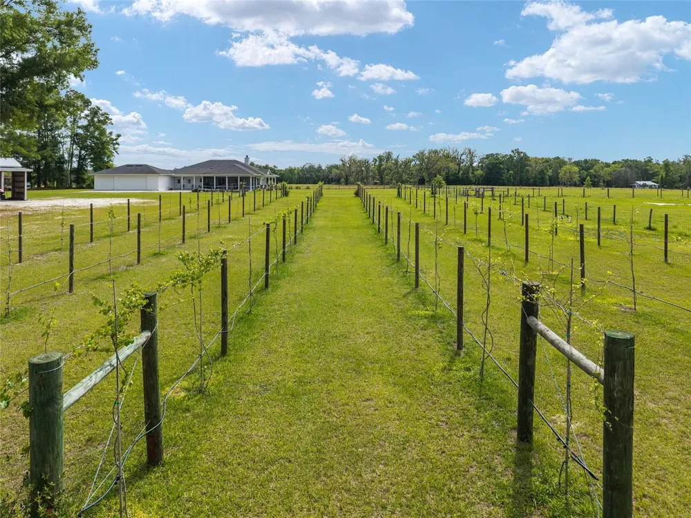 3725 172ND STREET Wellborn, FL 32094