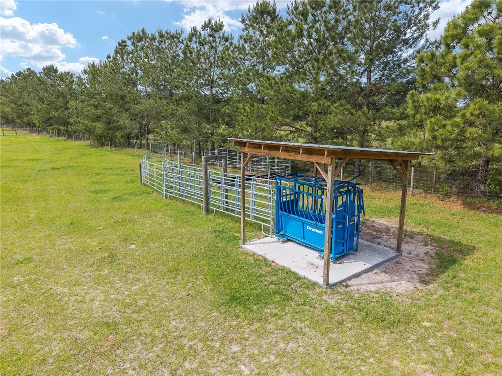 3725 172ND STREET Wellborn, FL 32094