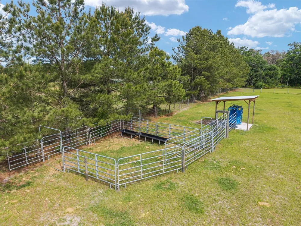 3725 172ND STREET Wellborn, FL 32094