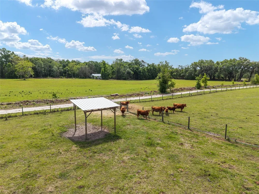 3725 172ND STREET Wellborn, FL 32094