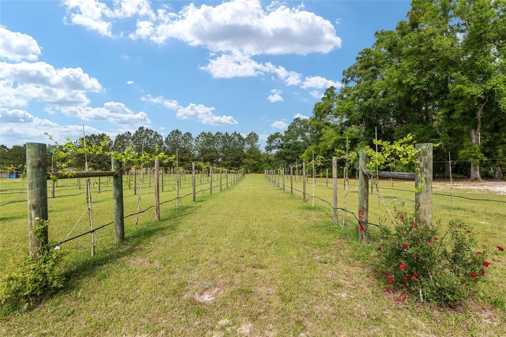 3725 172ND STREET Wellborn, FL 32094