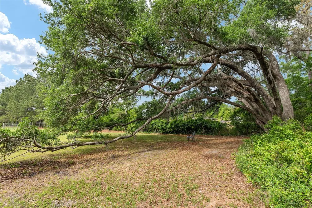 3725 172ND STREET Wellborn, FL 32094