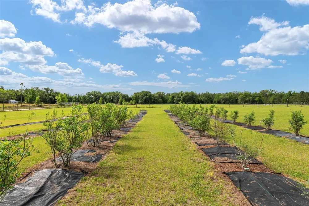 3725 172ND STREET Wellborn, FL 32094