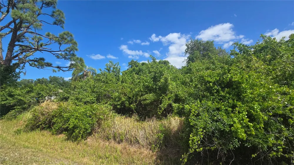 GALE STREET Englewood, FL 34223