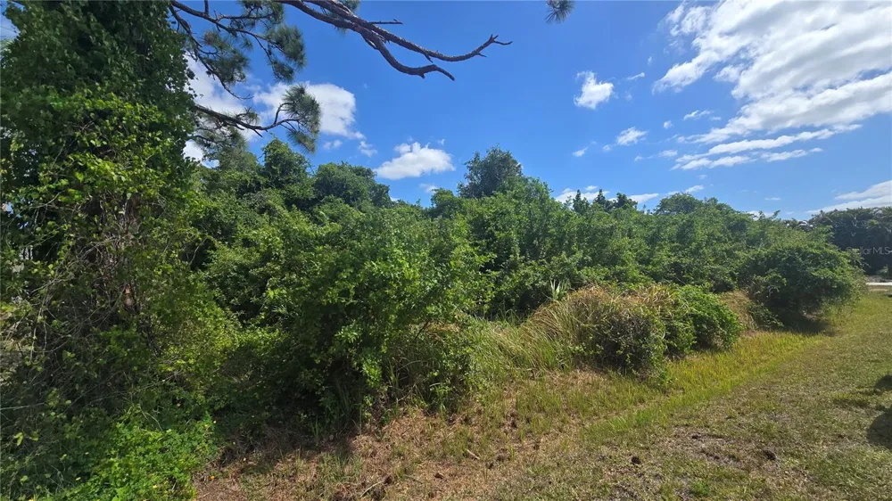 GALE STREET Englewood, FL 34223