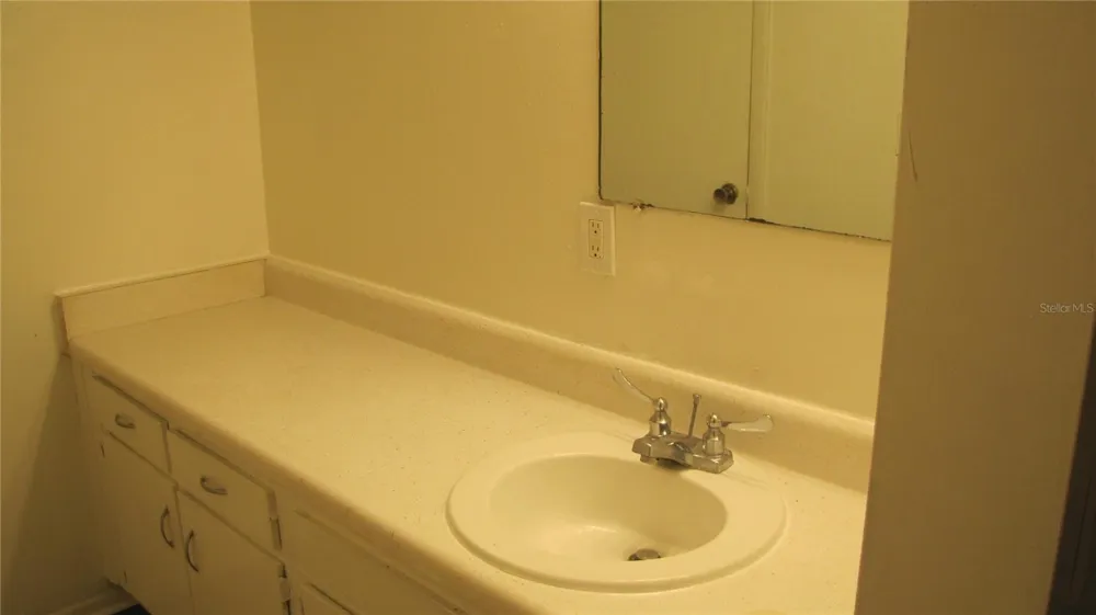 7506 NEEDLE LEAF PLACE #56 Tampa, FL 33617