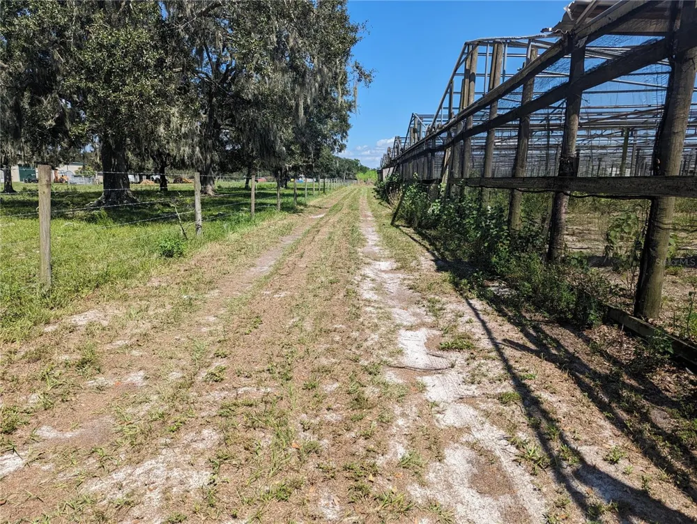 16070 CARLTON LAKE ROAD Wimauma, FL 33598