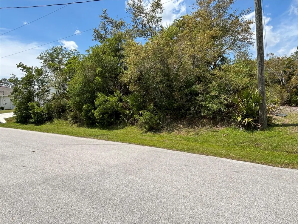28 FALLWOOD LANE Palm Coast, FL 32137