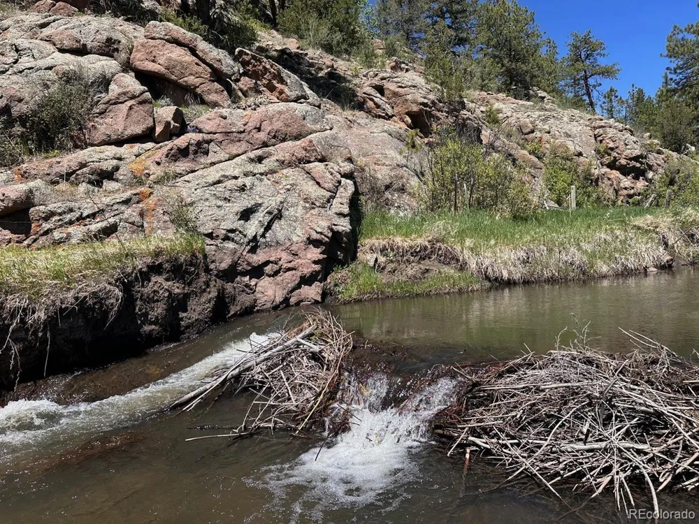 1840 Lakemoor Drive Florissant, CO 80816