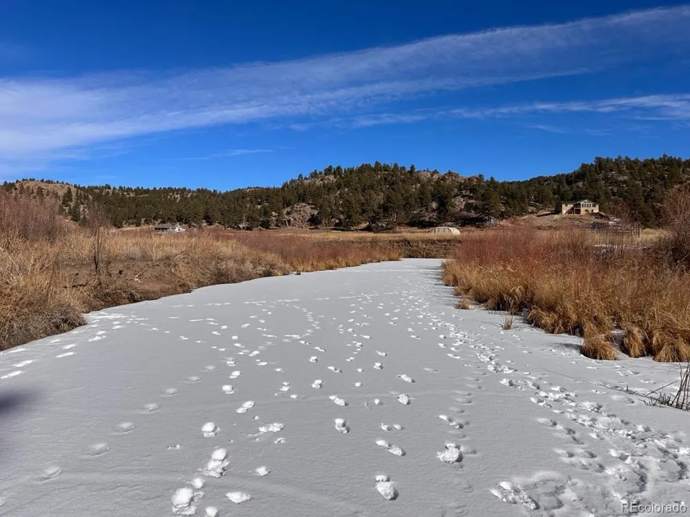 1840 Lakemoor Drive Florissant, CO 80816