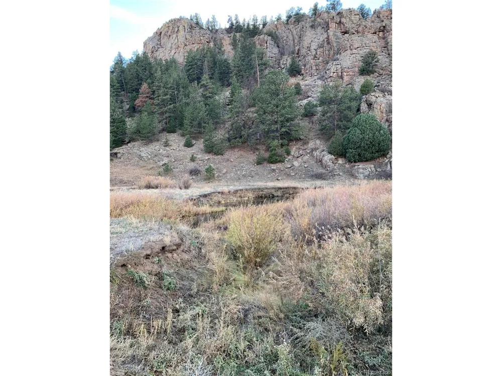 1840 Lakemoor Drive Florissant, CO 80816